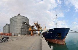 Активный экспорт черноморской пшеницы - AgroExpert.md