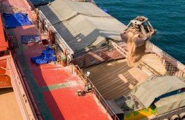 Export cereale din bazinul Marii Negre - AgroExpert.md