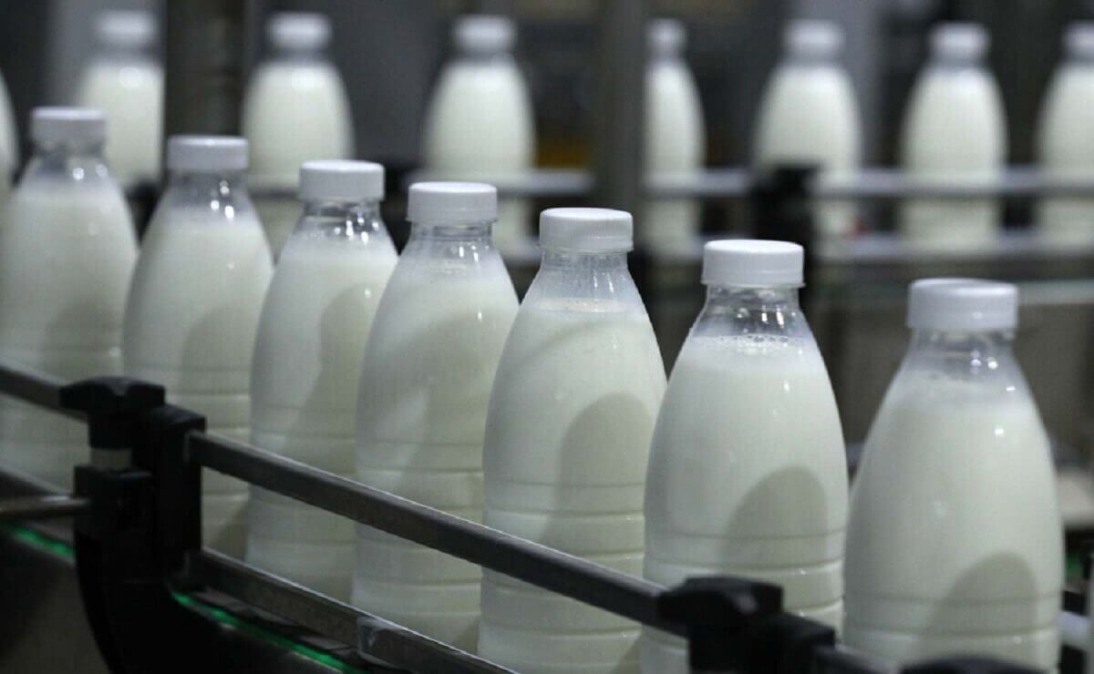 Дефицит тары для молока в России - AgroExpert.md