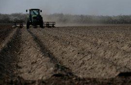 subventii-pentru-detinatorii-de-terenuri-AgroExpert.md