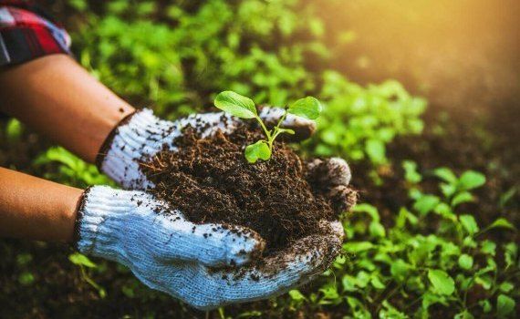 modele-eco-inovative-in-agricultura- AgroExpert.md