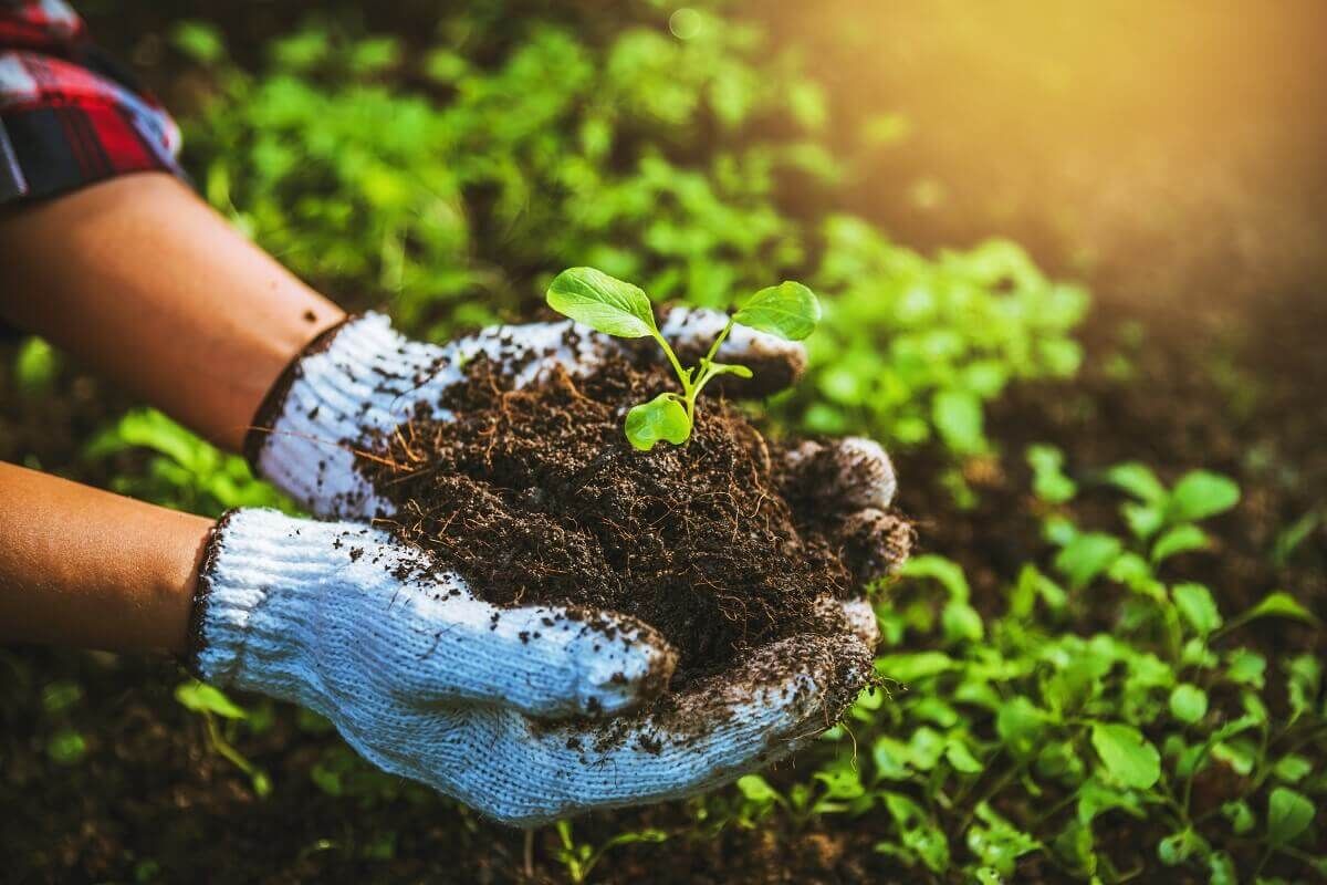 modele-eco-inovative-in-agricultura- AgroExpert.md