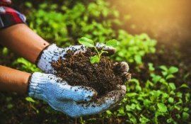 modele-eco-inovative-in-agricultura- AgroExpert.md