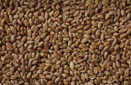 Achizitii de griu - AgroExpert.md