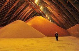 Экспорт минеральных удобрений из России - AgroExpert.md