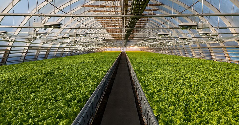 Compensatii pentru gazele naturale in agricultura - AgroExpert.md