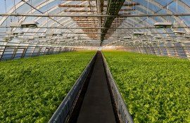 Compensatii pentru gazele naturale in agricultura - AgroExpert.md