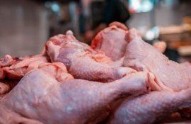 МХП бесплатная раздача курятины - AgroExpert.md