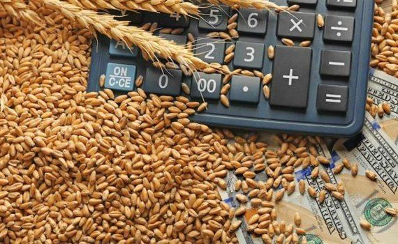 Резкий рост цен на зерновые - AgroExpert.md