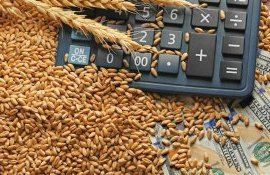 Резкий рост цен на зерновые - AgroExpert.md