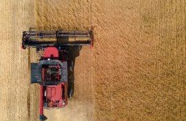 Потери от конфликта в Украине - AgroExpert.md