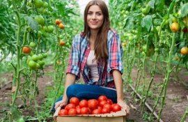 suport financiar pentru antreprenoare- AgroExpert.md