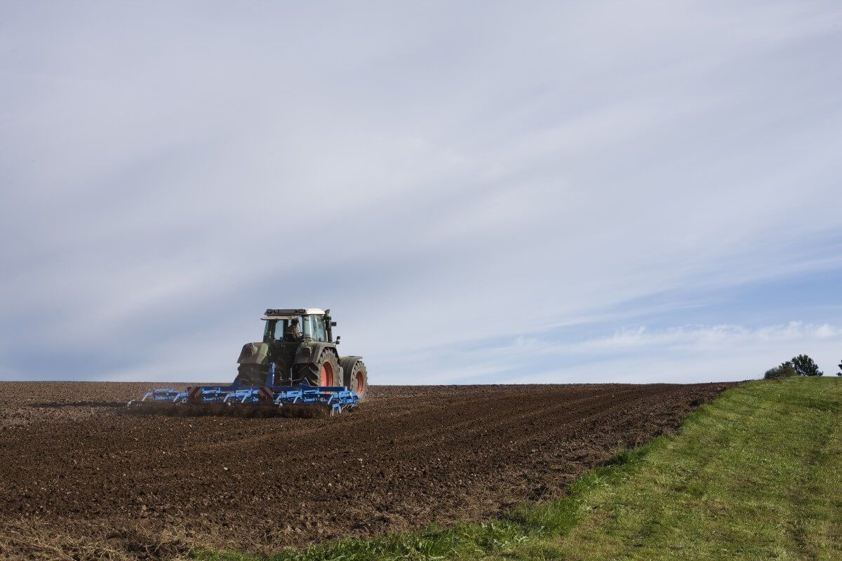 Субсидии в сельском хозяйстве в Молдове - AgroExpert.md