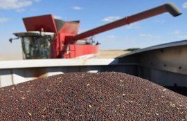 Pret la rapita - AgroExpert.md