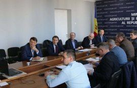 exporturi-in-romania-AgroExpert.md