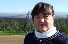 Экспорт молдавских яблок - AgroExpert.md