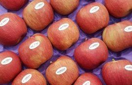 mere din Moldova- AgroExpert.md