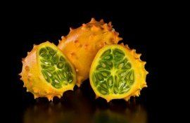 Выращивание кивано - AgroExpert.md