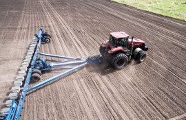 Яровой сев в Украине - AgroExpert.md