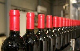 Vin din Moldova pentru export- AgroExpert.md