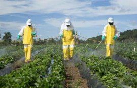 Utilizarea de pesticide in UE- AgroExpert.md