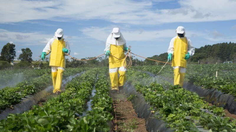 Utilizarea de pesticide in UE- AgroExpert.md