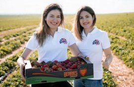 Clustere din Moldova - AgroExpert.md