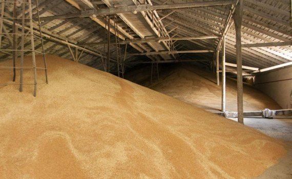 Запасы зерна в Украине - AgroExpert.md