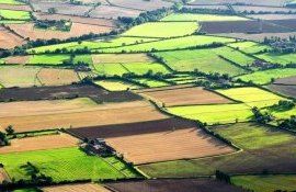 Servicii cadastrale- AgroExpert.md