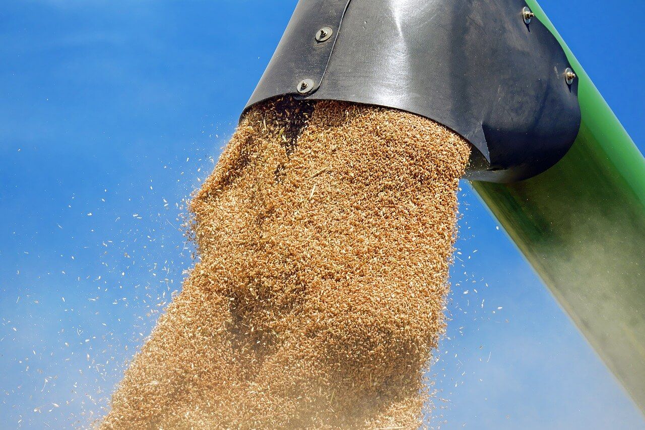 Экспорт зерна за рубли - AgroExpert.md