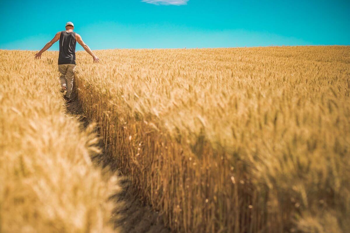 Subventii in agricultura Moldova - AgroExpert.md