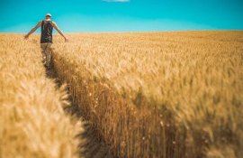 Subventii in agricultura Moldova - AgroExpert.md