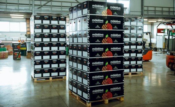 Экспорт молдавских яблок - AgroExpert.md