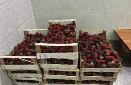 Клубника с пестицидами - AgroExpert.md