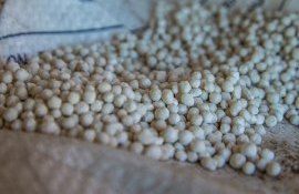 Резервы минеральных удобрений - AgroExpert.md