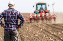 Subventii pentru micii producatori - AgroExpert.md