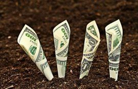 Субсидии в сельском хозяйстве Молдовы - AgroExpert.md