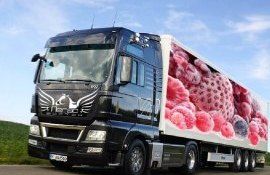 Перевозка яблок в Россию - AgroExpert.md