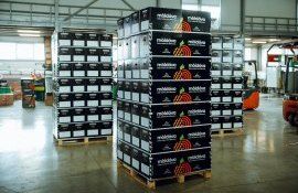 Экспорт яблок из Молдовы - AgroExpert.md