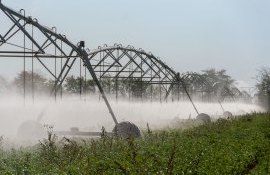 Орошение в Молдове - AgroExpert.md