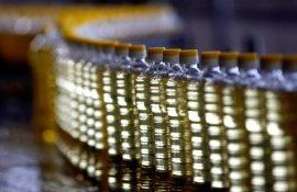 Дефицит подсолнечного масла в ЕС - AgroExpert.md