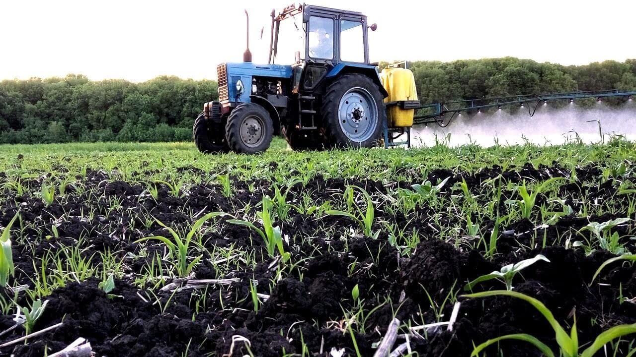 Пестициды в Украине - AgroExpert.md