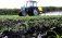 Пестициды в Украине - AgroExpert.md