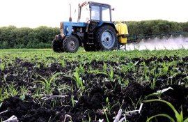 Пестициды в Украине - AgroExpert.md