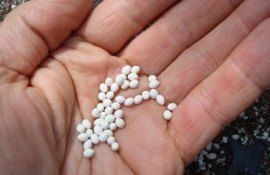 Дражирование семян преимущества - AgroExpert.md