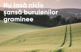 Corteva - AgroExpert.md