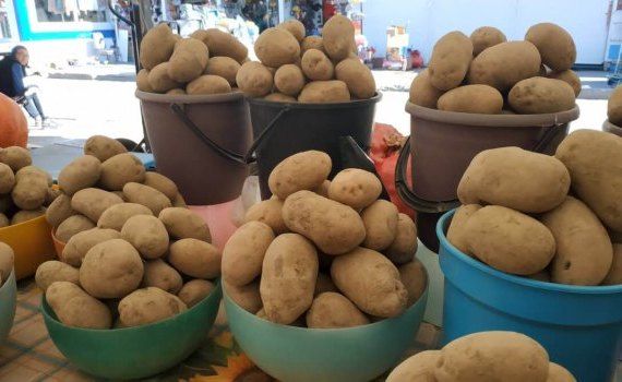 Цена на картофель в Украине - AgroExpert.md