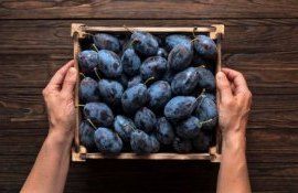 Certificarea GlobalG.A.P si GRASP - AgroExpert.md