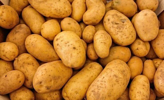 Цена на картофель в Польше - AgroExpert.md