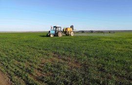 Eficienta ingrasamintelor foliare - AgroExpert.md